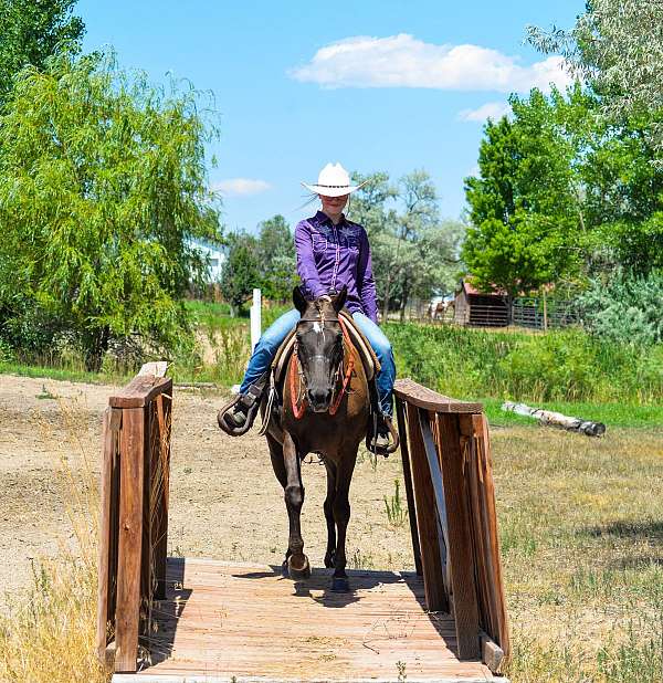 liver-chestnut-trail-c-horse