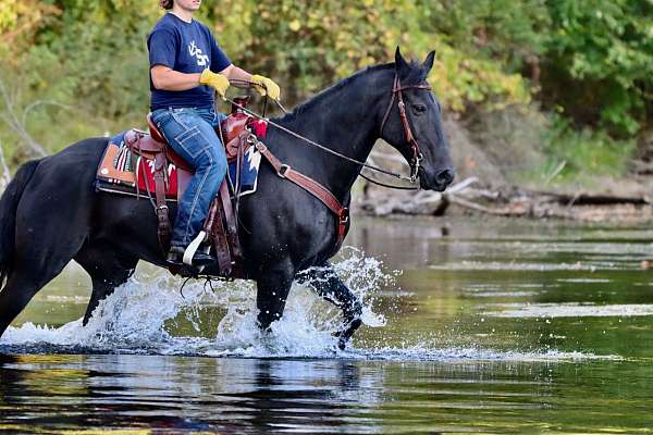 see-pics-pony