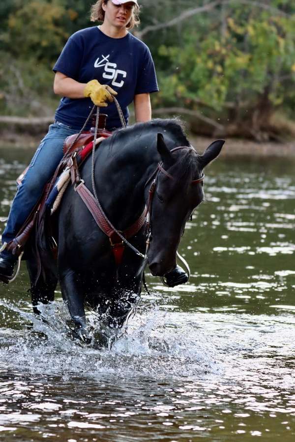 black-see-pics-pony