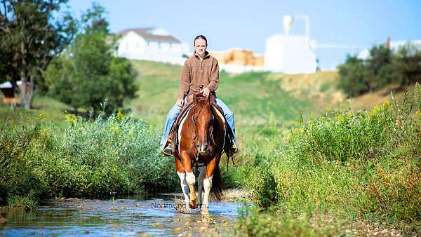 sorrel-tobiano-horse