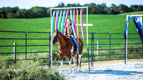 athletic-quarter-horse