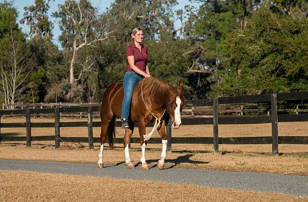 jumping-paint-pony