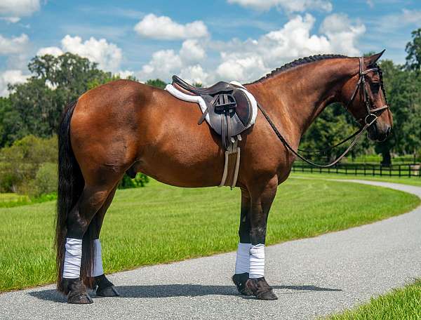 grade-pony-paint