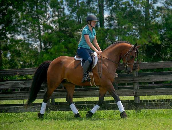 13-hand-chestnut-overo-pony