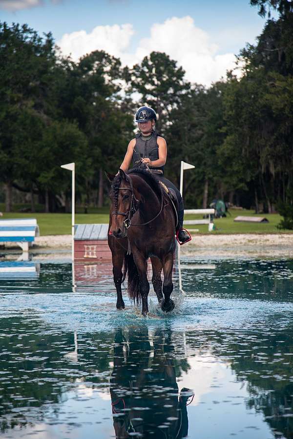 jumping-paint-pony