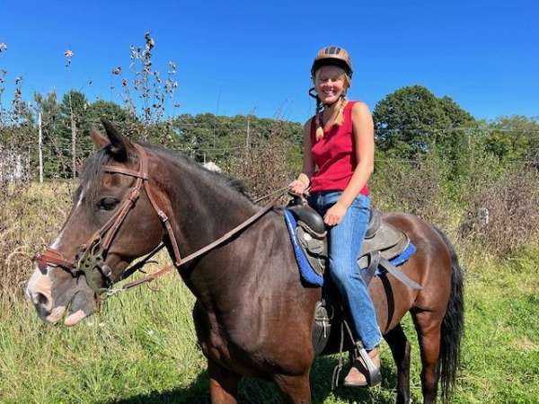 floating-morgan-horse