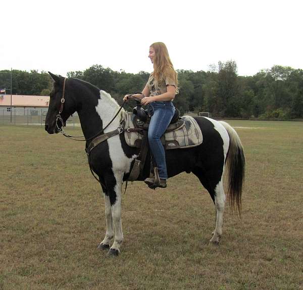 tobiano-horse