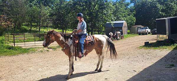 buckskin-overo-white-black-tail-horse