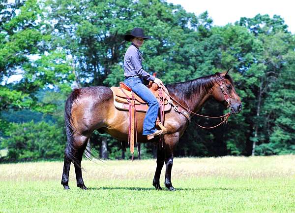 flashy-quarter-horse