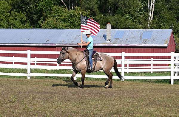 ranch-quarter-horse