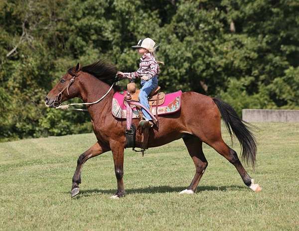 ranch-work-quarter-pony