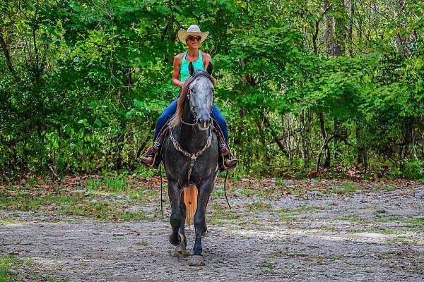 athletic-quarter-horse