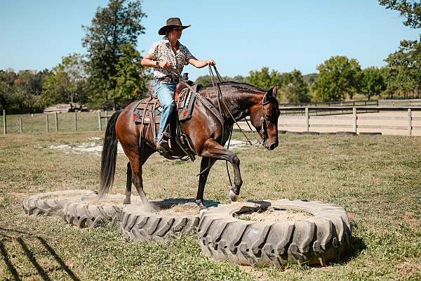 14-hand-bay-roan-horse