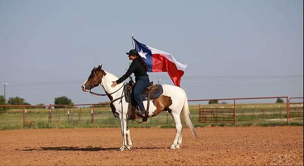 beginner-safe-quarter-pony