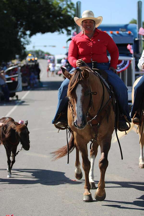 flashy-quarter-horse