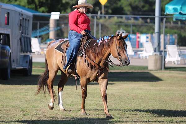 ranch-quarter-horse