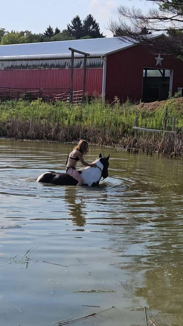 roping-quarter-horse