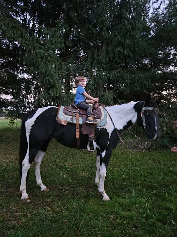 calf-roping-quarter-horse