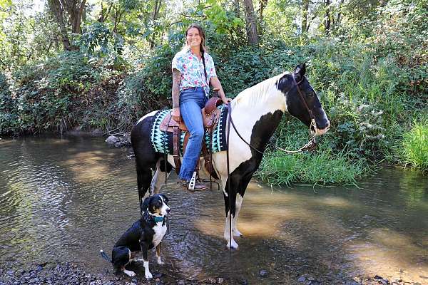 tobiano-blaze-horse