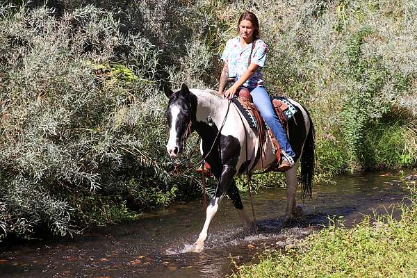 ranch-work-quarter-horse