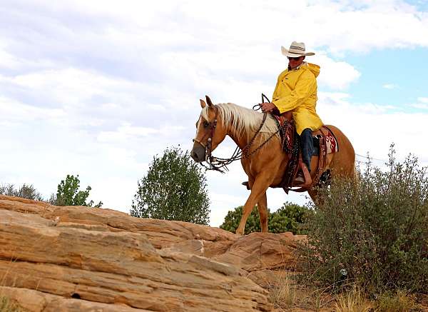 barrel-racing-quarter-horse