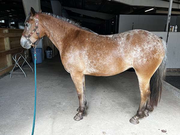 bending-draft-horse