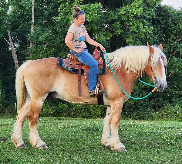 sorrel-blonde-mane-tail-blaze-4-socks-horse