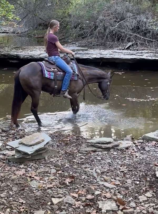 heel-quarter-horse