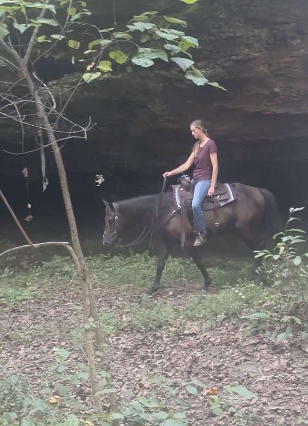 ranch-work-quarter-horse