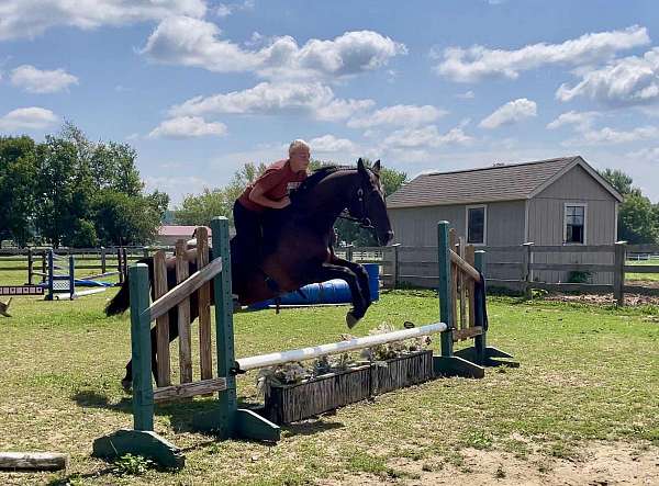 ranch-quarter-horse