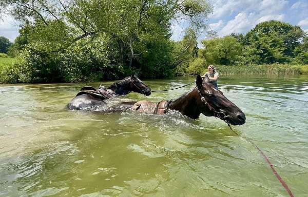 kid-gentle-quarter-horse