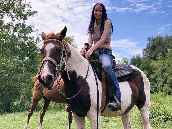 trail-missouri-fox-trotter-horse