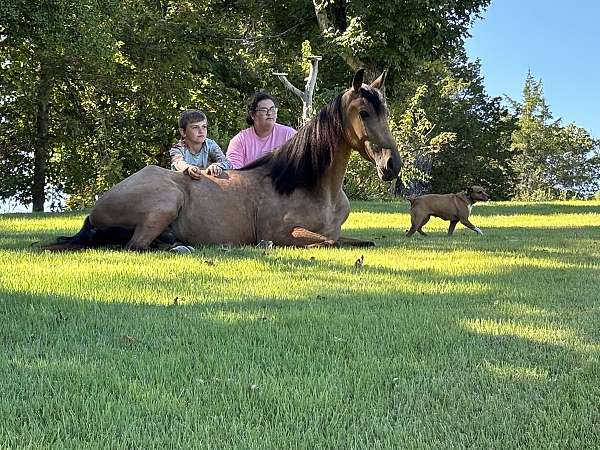 family-horse-tennessee-walking