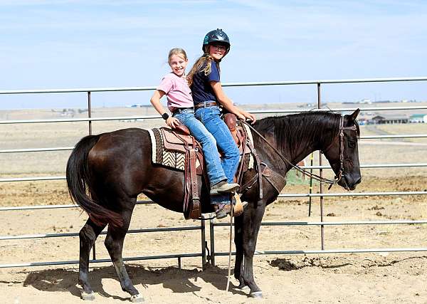 family-quarter-horse