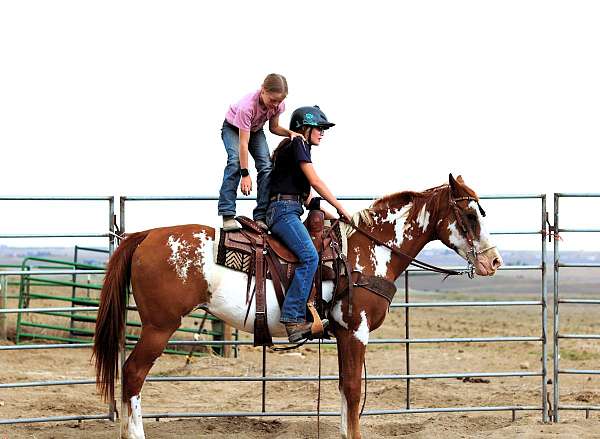 family-paint-horse