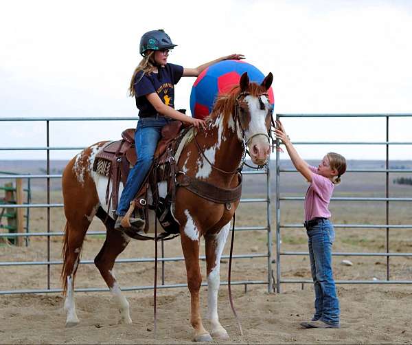 trail-paint-horse