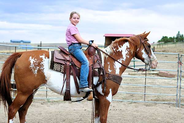 husband-safe-paint-horse