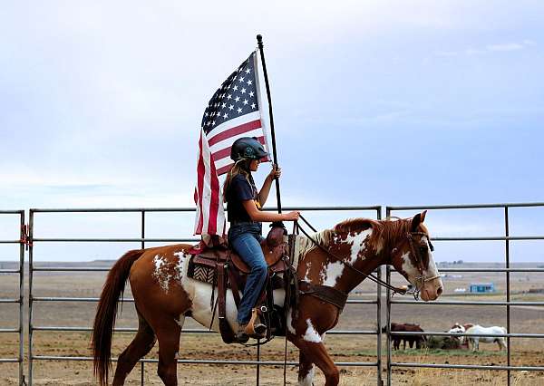 ranch-paint-horse