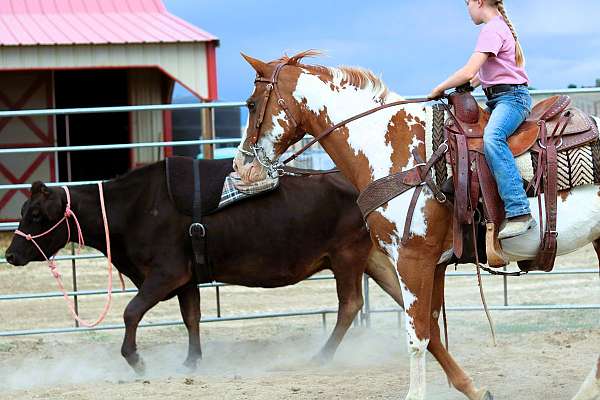 athletic-paint-horse