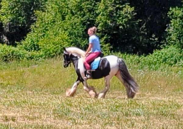 tobiano-horse