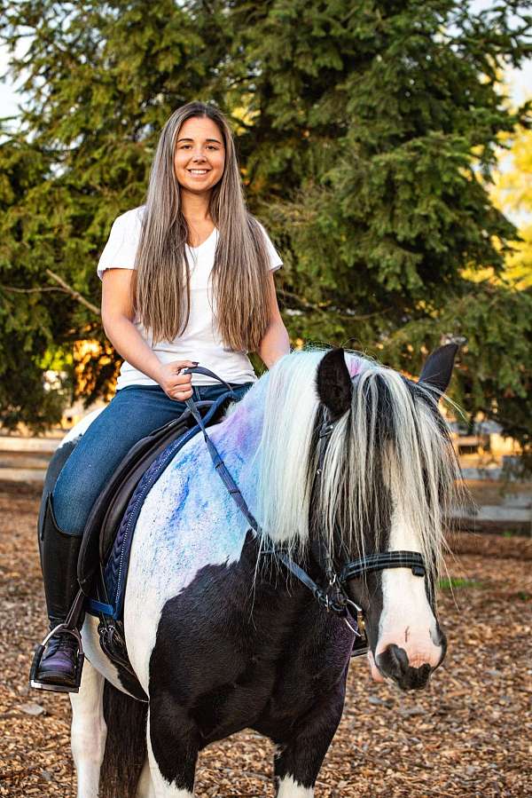 cowboy-mounted-shooting-gypsy-vanner-horse