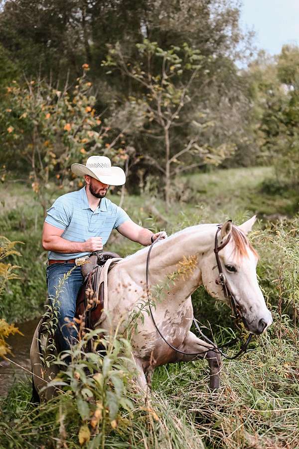 cowboy-mounted-shooting-quarter-horse