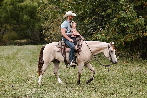 flashy-quarter-horse