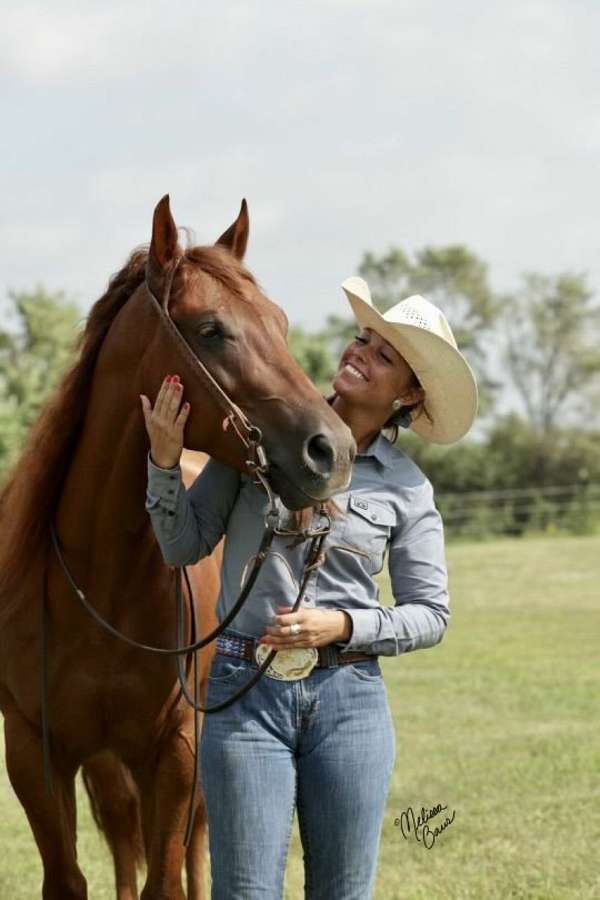 sorrel-aqha-gelding