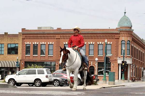 back-horse