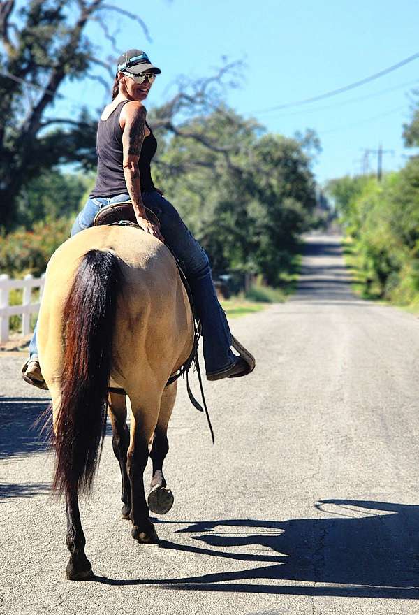 trail-riding-quarter-horse