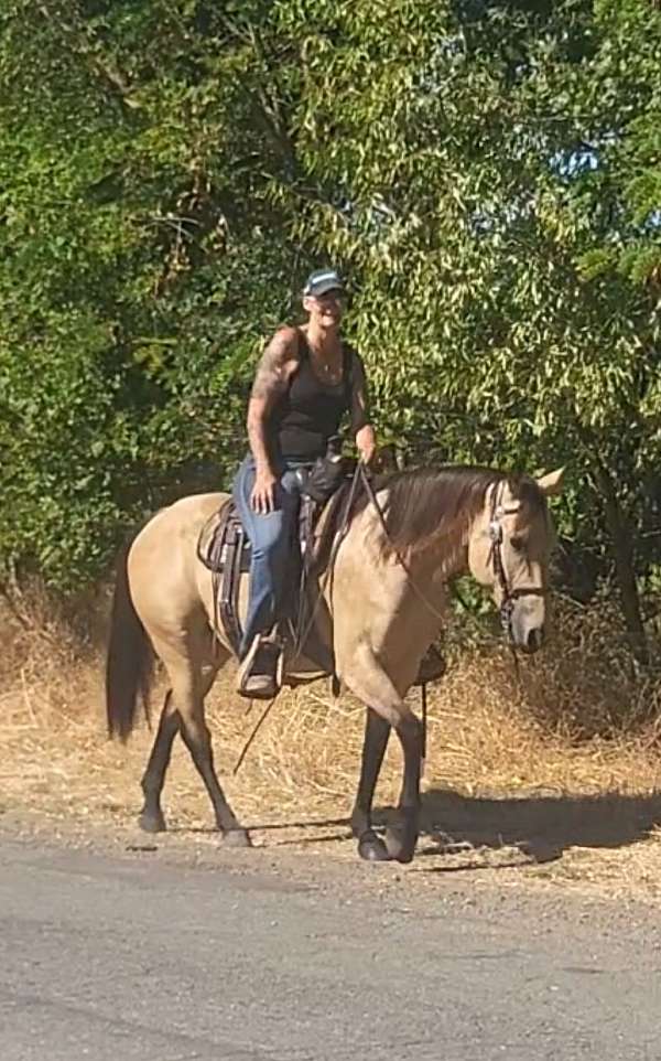 working-cattle-quarter-horse