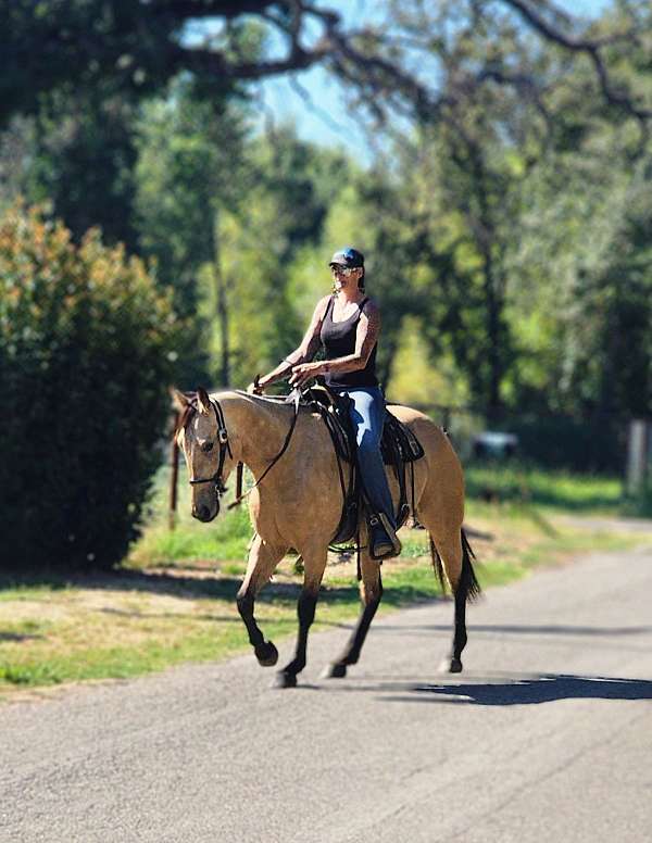 youth-quarter-horse