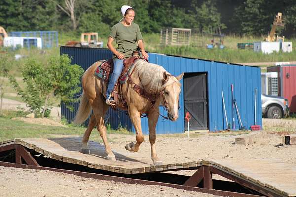 palomino-horse