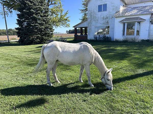 teenager-pony